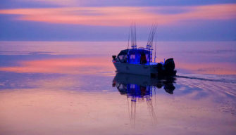 michigan-fishing-charters
